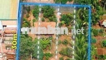 4lô ngay cầu Đinh Tiên Hoàng thổ cư nhiều 5x30 không lỗi phường BMT