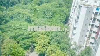 EMERALD CELADON CITY CHO THUÊ CĂN HỘ NỘI THẤT CƠ BẢN 63m2 2PN 1WC