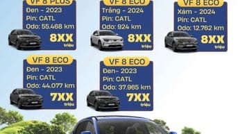 DANH SÁCH XE SẴN TẠI GF BÌNH ĐỊNH