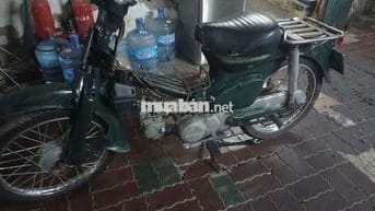 Honda Cub 81 50 học sinh zin đẹp máy êm giấy TPHCM