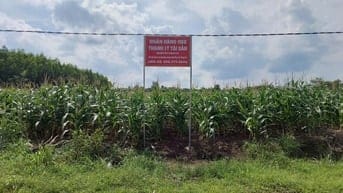 Công ty Đấu giá hợp danh Sao Việt 