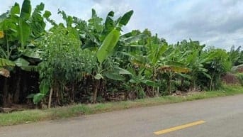 ❗❗CẦN BÁN GẤP❗❗   ĐẤT SỔ CHUNG ,NGANG 5M DÀI 50M