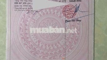 BÁN ĐẤT THỔ CƯ AN PHÚ ĐÔNG – VỊ TRÍ VÀNG, SỔ HỒNG RIÊNG, XÂY DỰNG NGAY