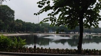 Cần một nữ dưới 40 tuổi làm nhổ tóc bạc 