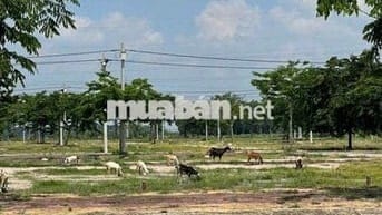 Đất trung tâm hành chính Lai Uyên Bầu Bàng giá 2 tỷ 900