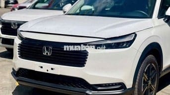 Giá xịn nhất thị trường, đủ màu giao ngay!