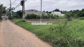 Đất 100m2 full thổ cư Xã Bình Đức, Châu Thành, Tiền Giang (cũ)