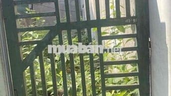 TẶNG VỢ CAO 45m- 5m mặt tiền- Ô TÔ VÀO TẬN CỬA