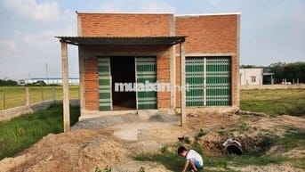 DT 330m2 có 2 căn nhà liền kề, 1 miếng đất, xã Đức Lập.SHR chính chủ