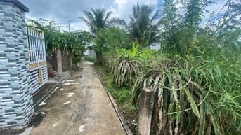 Công ty đấu giá hợp danh Sao Việt 