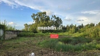 Cần bán đất quản lộ phụng hiệp