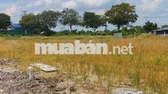 Cần bán đất cách ủy ban phường Sơn Qui 700m.Giá từ 495 triệu/150-200m2