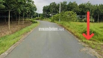 Chính chủ bán lỗ trả nợ bank DT1045m2 14.5x70 ngay TT Chơn Thành