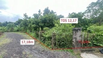 Công ty Đấu giá hợp danh Lam Sơn Sài Gòn THÔNG BÁO ĐẤU GIÁ TÀI SẢN