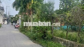 Đất đầu tư, Thủ Đức, chỉ hơn 6 tỷ. Gần ub phường, chợ đầu mối Thủ Đức