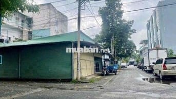 8 tỏi, đất lô góc / hoàng hoa thám hiệp thành