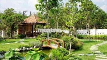 1 SÀO PHỦ HỒNG NGAY PHƯỜNG LONG KHÁNH CẦN BÁN GẤP