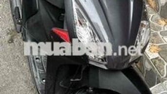 Vison đen biển Hà Nội 29D2