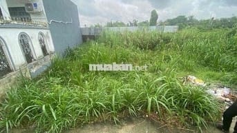 Chủ ngộp gửi bán lô đất 60m2 tại Bùi Thanh Khiết, Tân Túc, BC, SHR