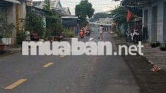 BÁN DÃY PHÒNG TRỌ+ 1 CĂN NHÀ CẤP 4