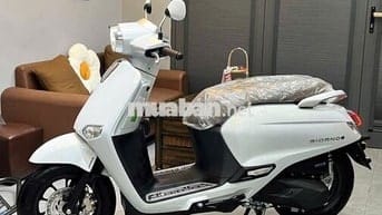 Honda Giorno 125 ABS Thailand 2025 Hải quan