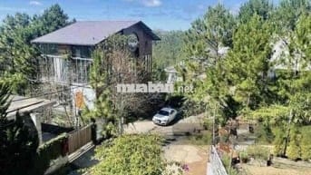 Chủ bể hụi bán đất biệt thự view thông mặt tiền P9 Đà Lạt giá ngộp