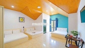 Cho thuê khách sạn mặt tiền Đường Phan Như Thạch trung tâm TP. Đà Lạt