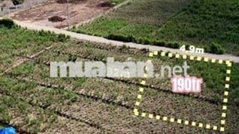 🌟• DT : 150m². Giá :190 triệu tại cù lao Tân Phú Đông, Tiền Giang