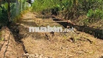 bán đất thổ cư gần chợ mỹ khánh phường an bình