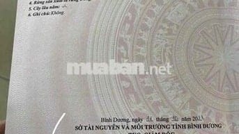 Bán đất bình chuẩn 63 le thị trung vào 300m