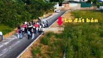 Còn 2 Lô cuối chính chủ đất Thôn Cõi , Tam Dương - Phú Thọ