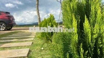 KẸT TIỀN CẦN BÁN GẤP LÔ ĐẤT NỀN HÒA NINH LÂM ĐỒNG