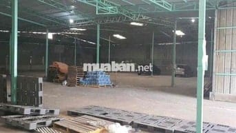 cho thuê kho MT Phạm Hữu Lầu 500-1.200m2
