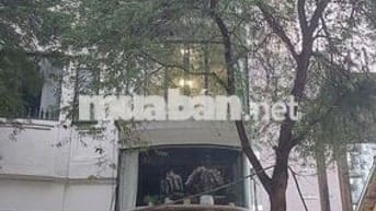 Mặt Bằng Kinh Doanh  78m2  31B Lê Thánh Tôn phường Sài Gòn