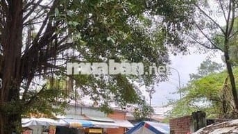 Loaloa siêu ẩm sang gấp đầu tư 900t hạ còn 329t đang kd thu nhập 60t/