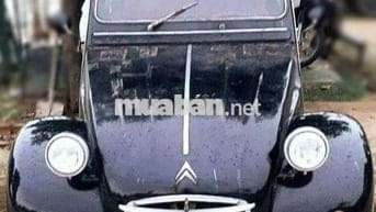 Volkswagen Beetle 1980 Màu trắng