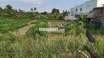 Đất ngộp giá rẻ(537m2-100TC.). MT đường (464 củ) xã trung an