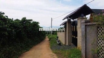 SIÊU PHẨM VIEW NÚI – GIÁ NGỘP SÂU NHẤT P.1, BẢO LỘC