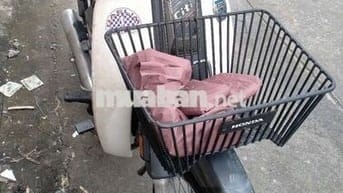 Citi thùng xám xi măng, bstp.