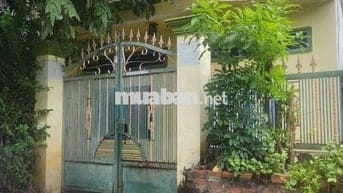 Cho thuê nhà cấp bốn diện tích rộng