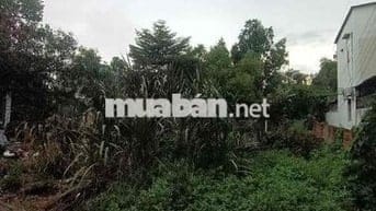 HẺM XE TẢI TÂN HIỆP HÓC MÔN, DT 300M2 Ngang 12,5M, GIÁ 10tr/M2 THỔ CƯ