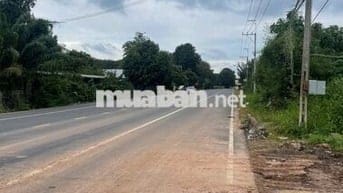 Bán gấp 300m2 thổ cư đường nhựa HL 605 32m Ngay KCN Mỹ Phước 2,3