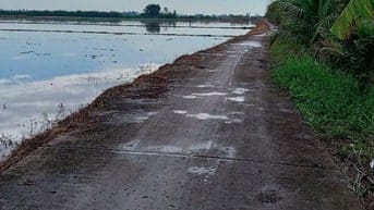 Cần bán gấp đất ruộng phi thông 