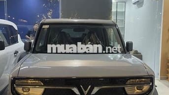 VF3 2025 chưa lăn bánh bao ra giấy tờ SG