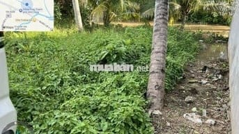 Cần Tiền Kinh Doanh Bán Lại Nền Đất Đẹp Giá Rẻ Gần Khu Hành Chính Tỉnh