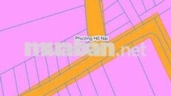 Vị trí vàng P. Hố Nai – ngay Nhà Thờ Lộ Đức, trung tâm Biên Hòa