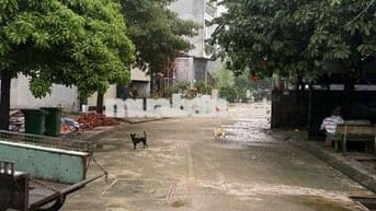 Cho thuê nhà nguyên căn chính chủ 65m2 Đường Thạnh Lộc 28