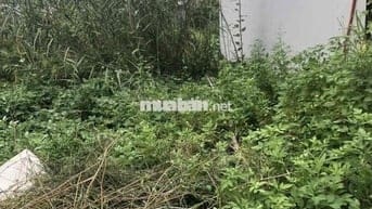 Đất 66m2 ngang 4m HXH thôn 4 Bắc Sơn, An Dương giá 1,1 tỷ