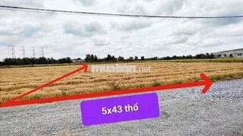 Bán Đất Hoà Khánh Đông giáp công viên vỏ văn tần 2km