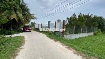 ĐẤT CHÍNH CHỦ CẦN BÁN GẤP LỘC HOÀ 2 ĐỨC HOÀ